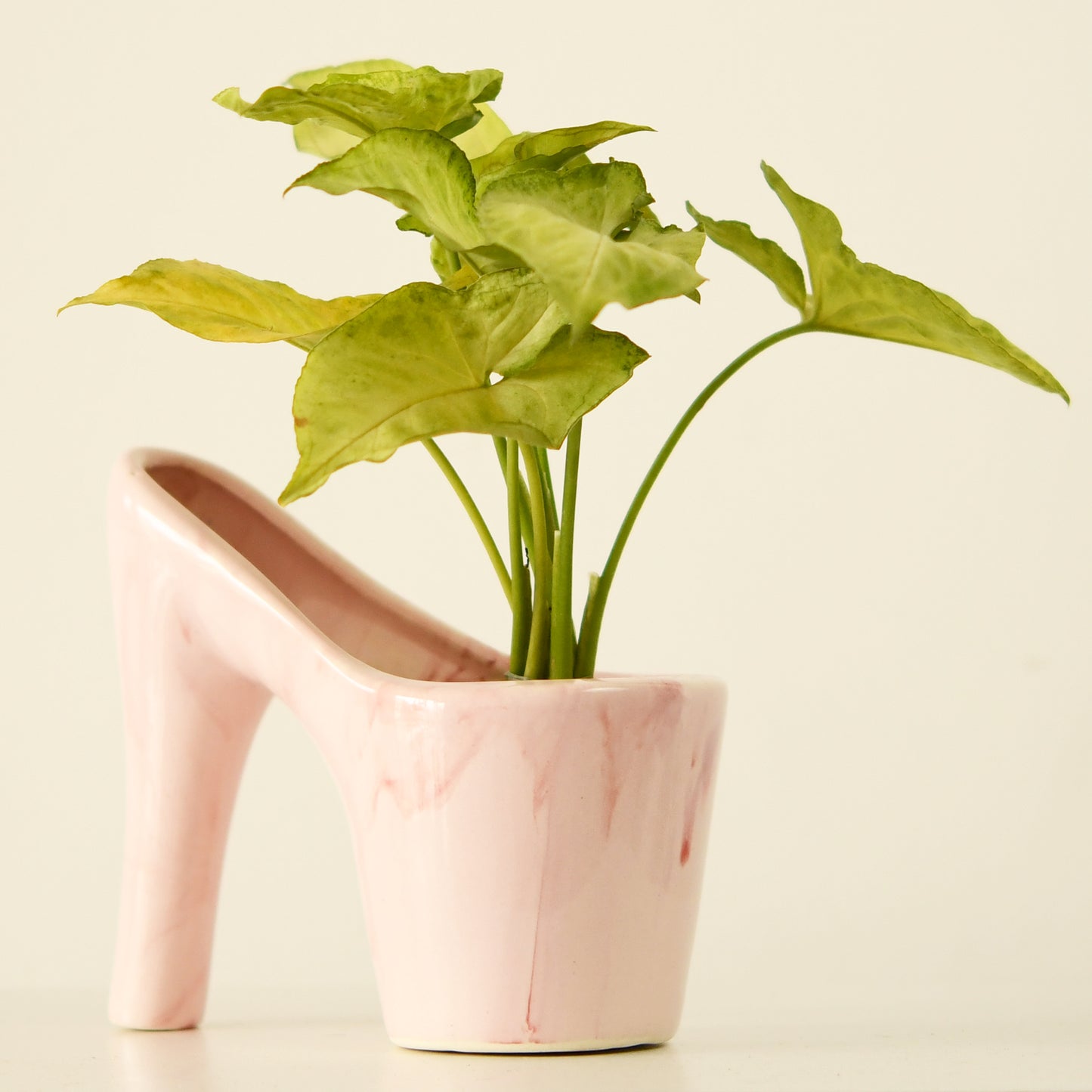 Pink Princess Sandal Plant Pot