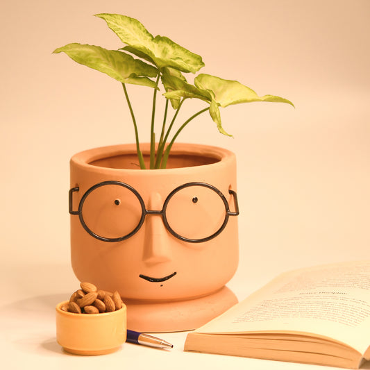Scholar Kid Pink Planter Pot
