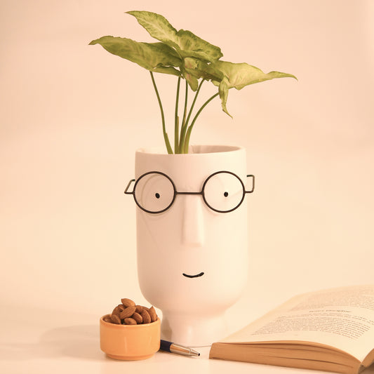 Genius Buddy White Planter Pot
