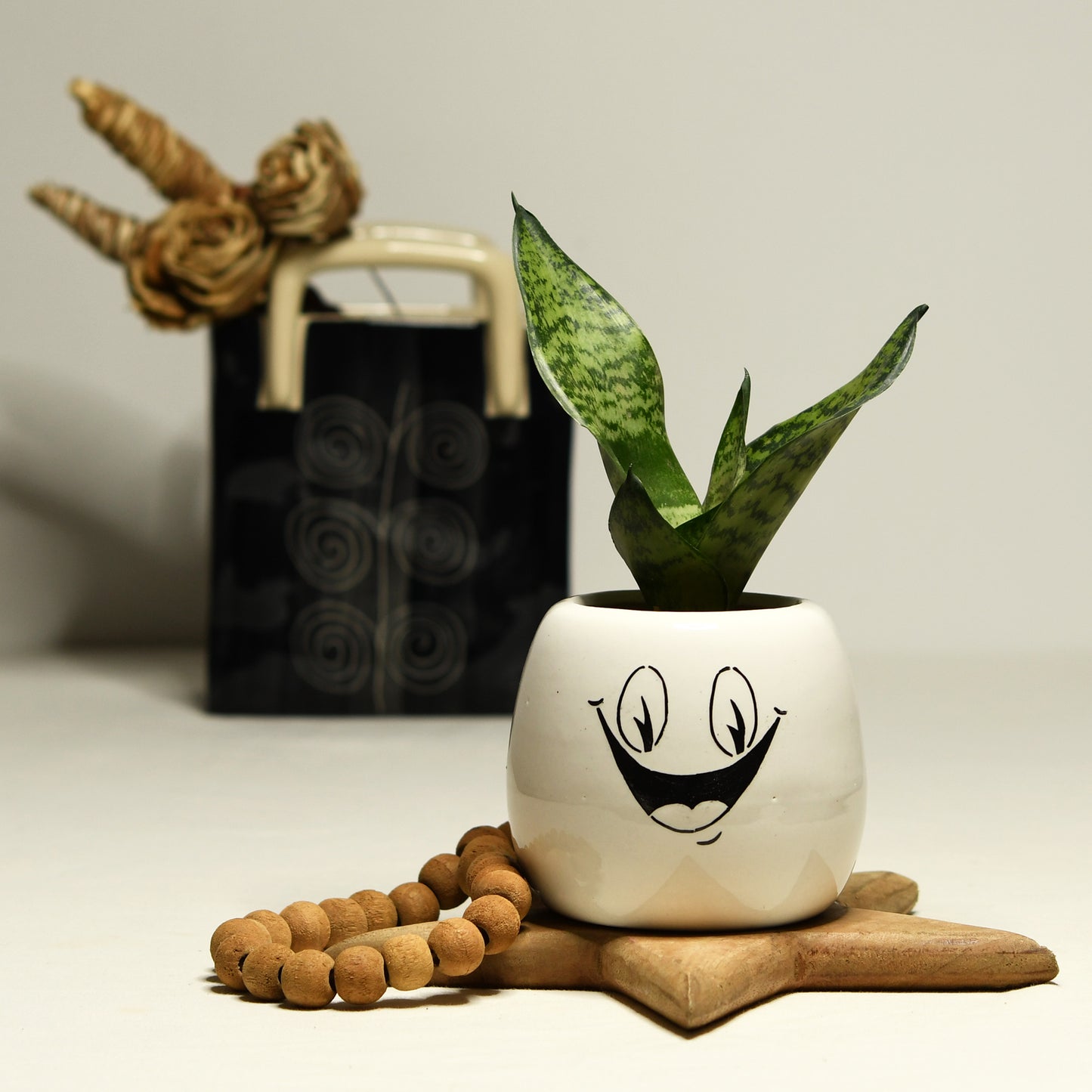 Happy Face Desk Planter