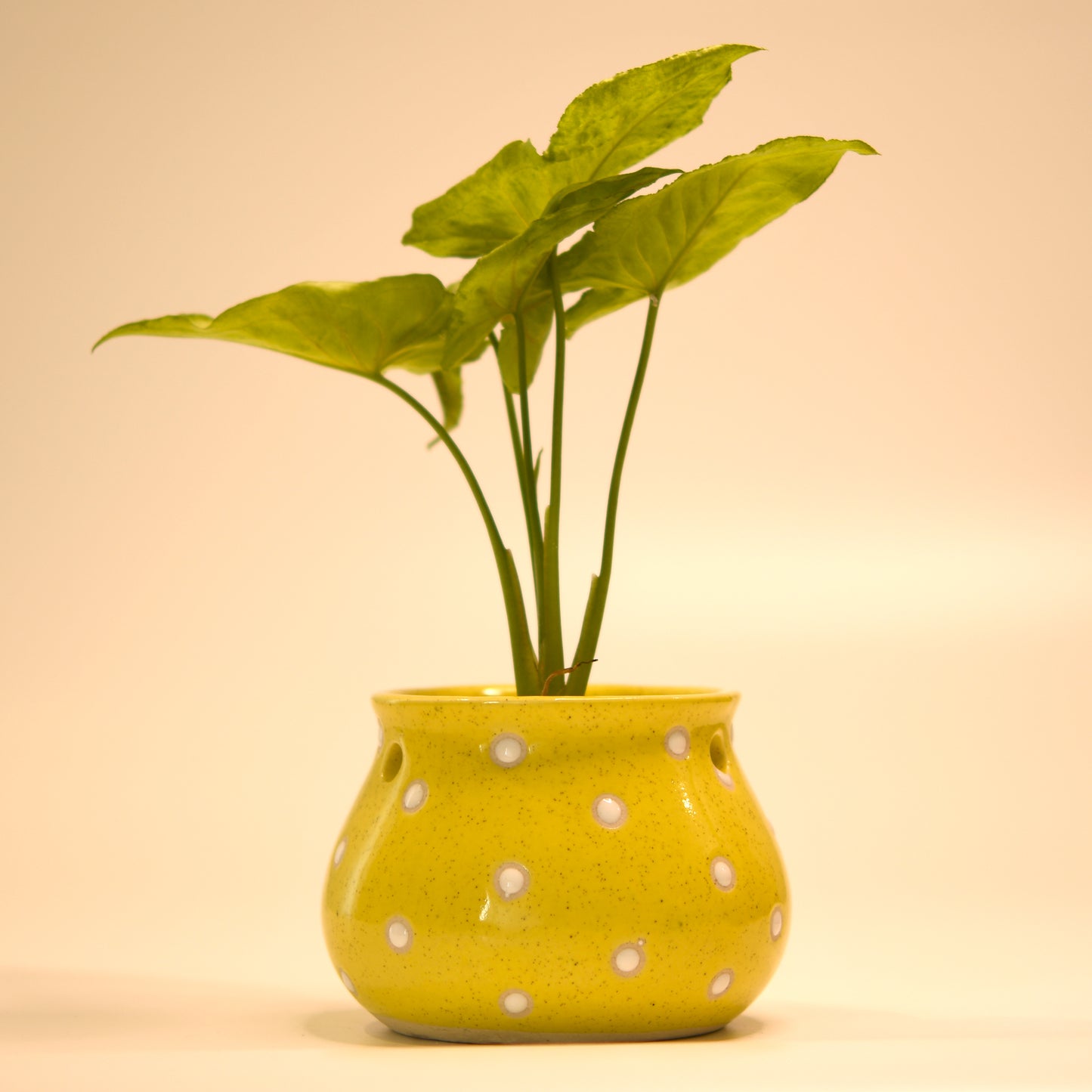 Dahi Matki Planter - Yellow