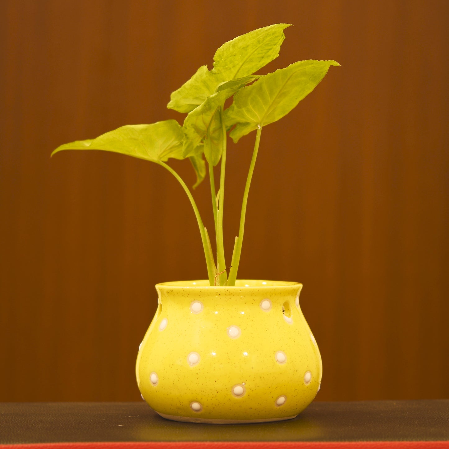 Dahi Matki Planter - Yellow