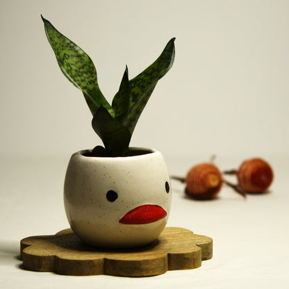 Baby Quack Planter