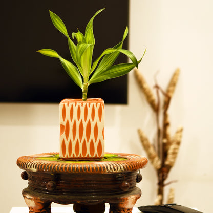 MeshCraft Ceramic Planter - Orange